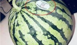 伦敦网红吃瓜,揭秘网红们的“吃瓜”日常
