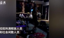 爆料黑社会视频大全最新,最新爆料视频大全深度解析