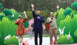 近期联动爆料新闻事件视频,真相与争议交织