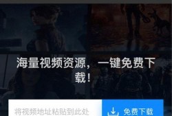 外国玩家爆料视频下载,下载视频背后的秘密与挑战