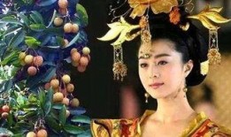 苏妲喜吃瓜系统后续全集免费,揭秘娱乐圈幕后风云，免费解锁全集大结局